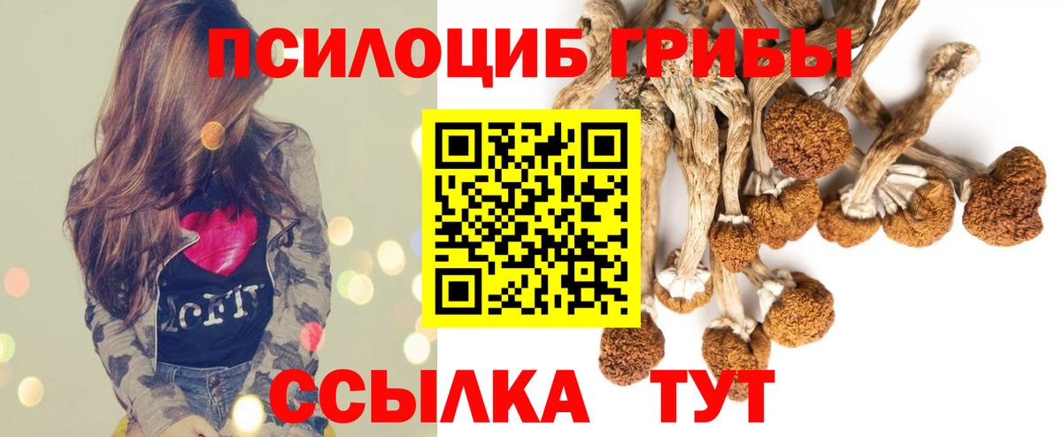 Галлюциногенные грибы мухоморы  Вход с VPN  Сердобск  Галлюциногенные грибы мицелий 